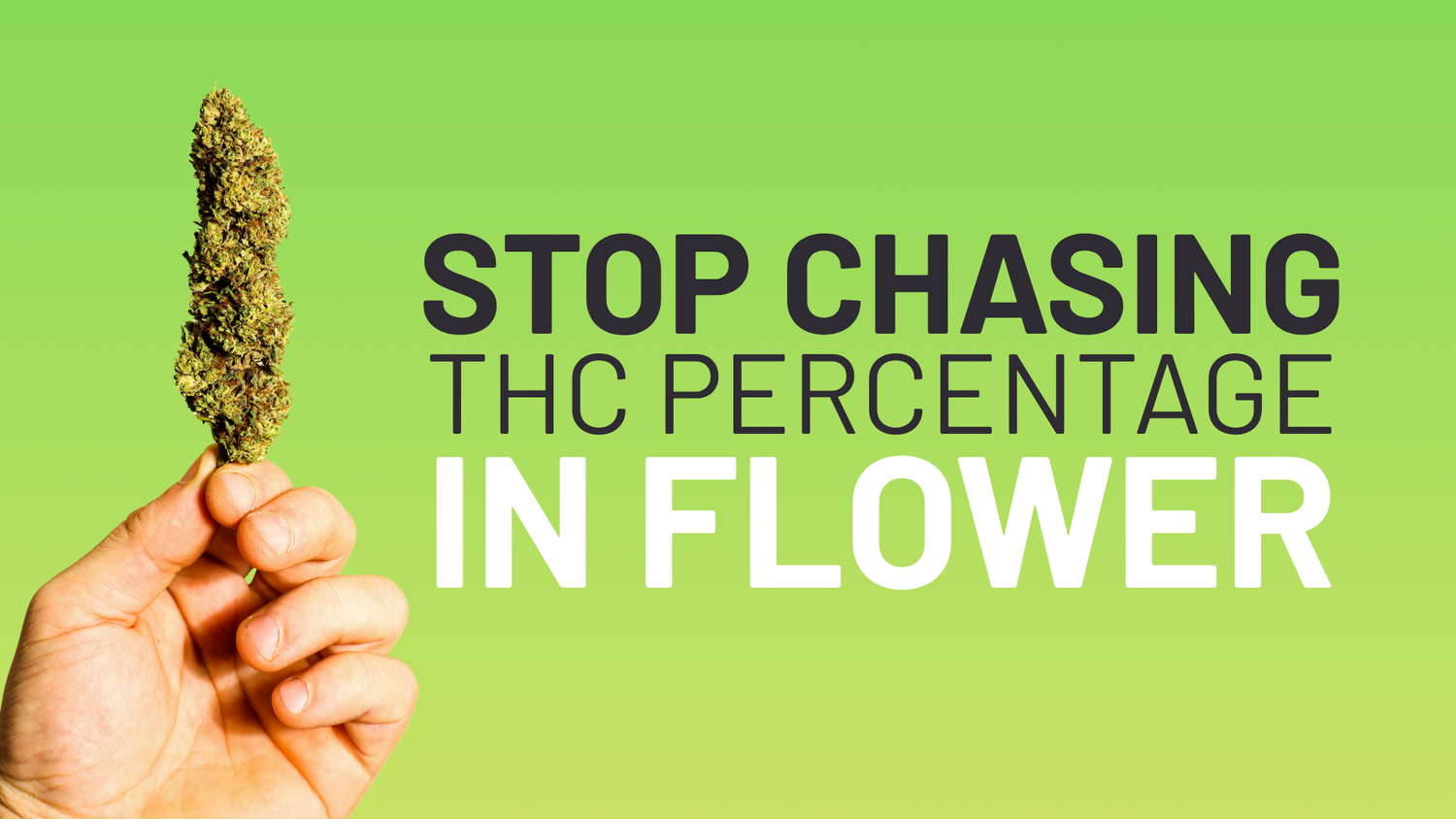 Stop Chasing THC Percent in Flower
