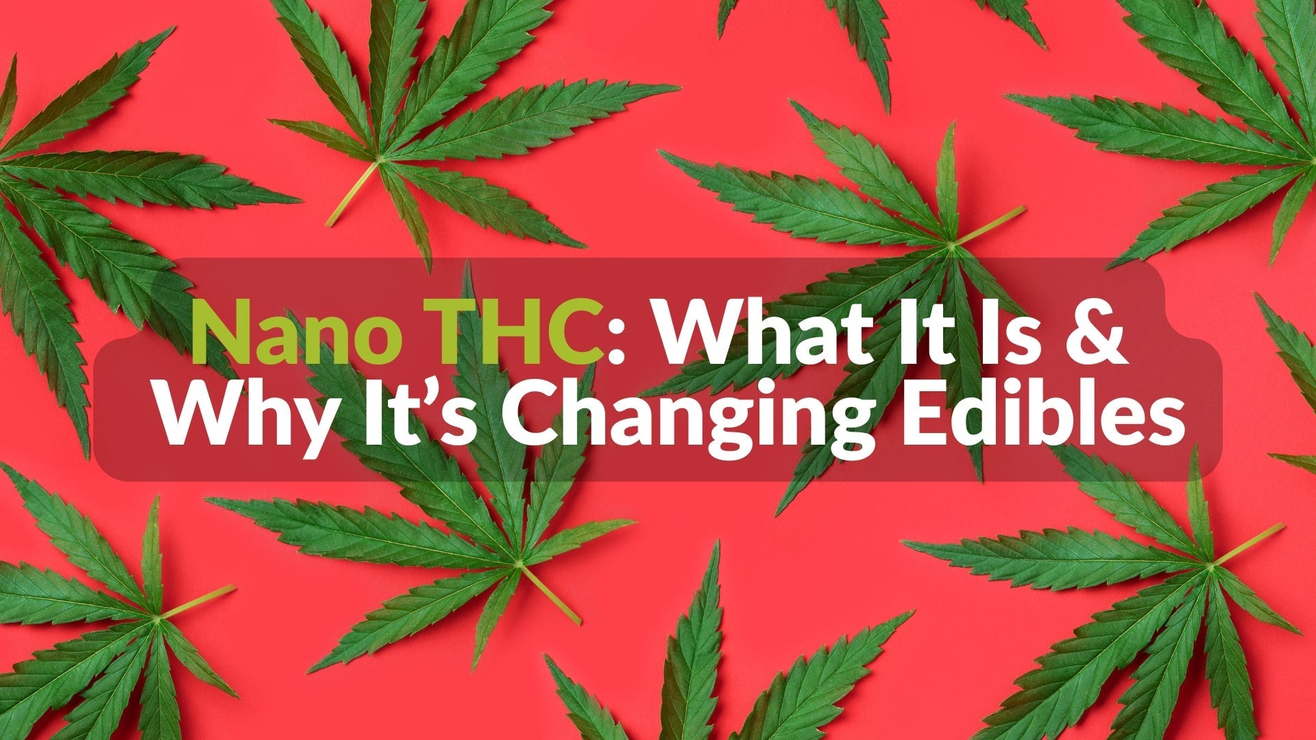 Nano THC: What It Is and Why It’s Changing the Way We Feel Edibles
