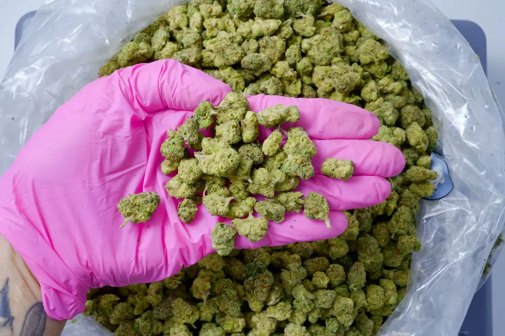 THCA Smalls
