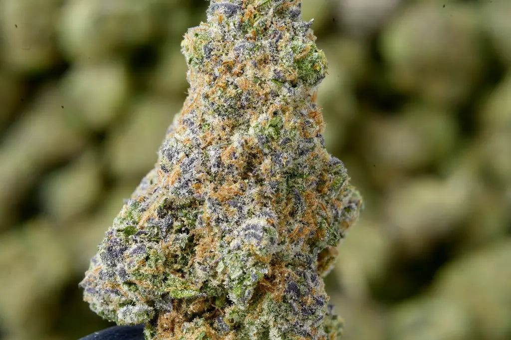 THCA Flower