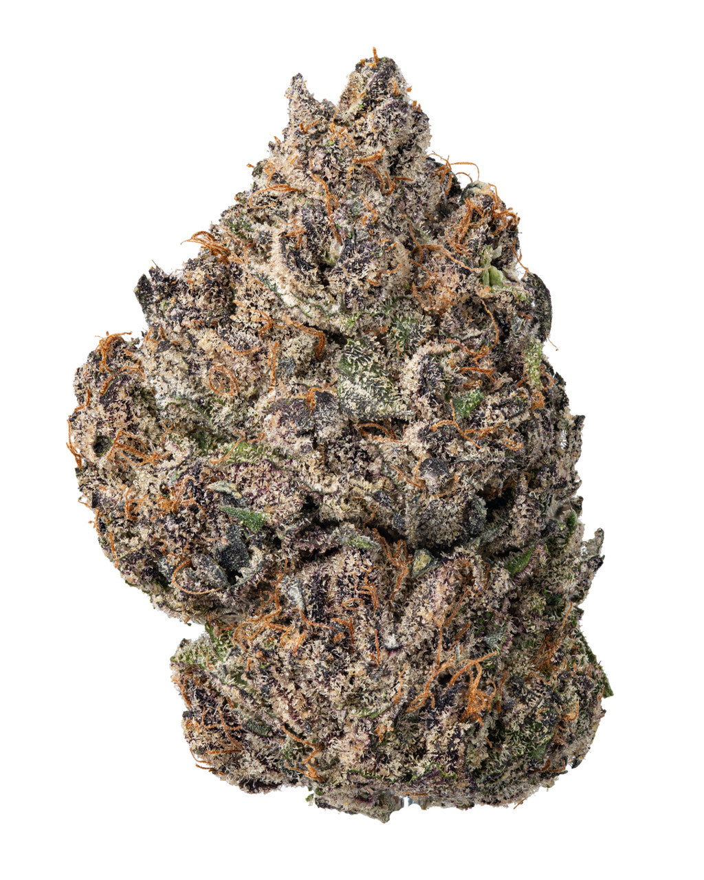 THCA Dogwalkers