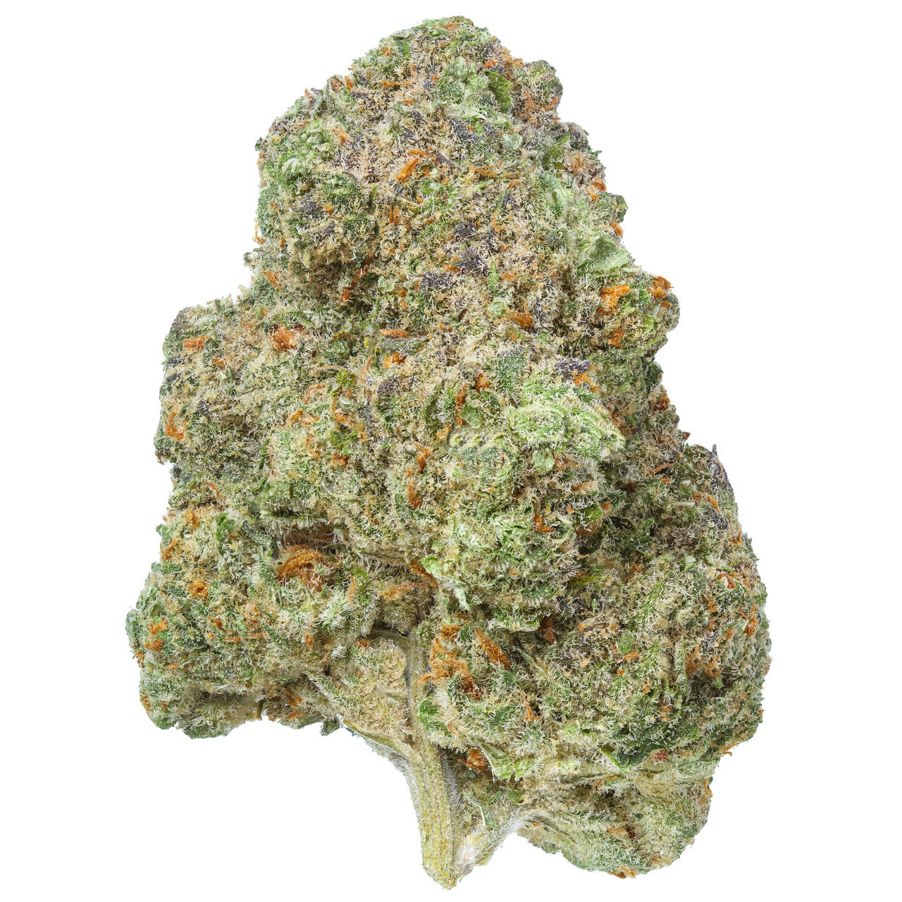 THCA Flower - SH SUPPLY LLC