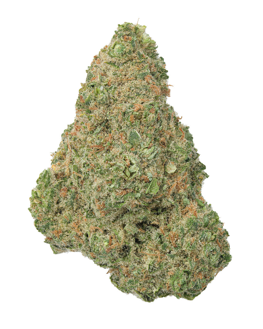 THCA Dogwalkers