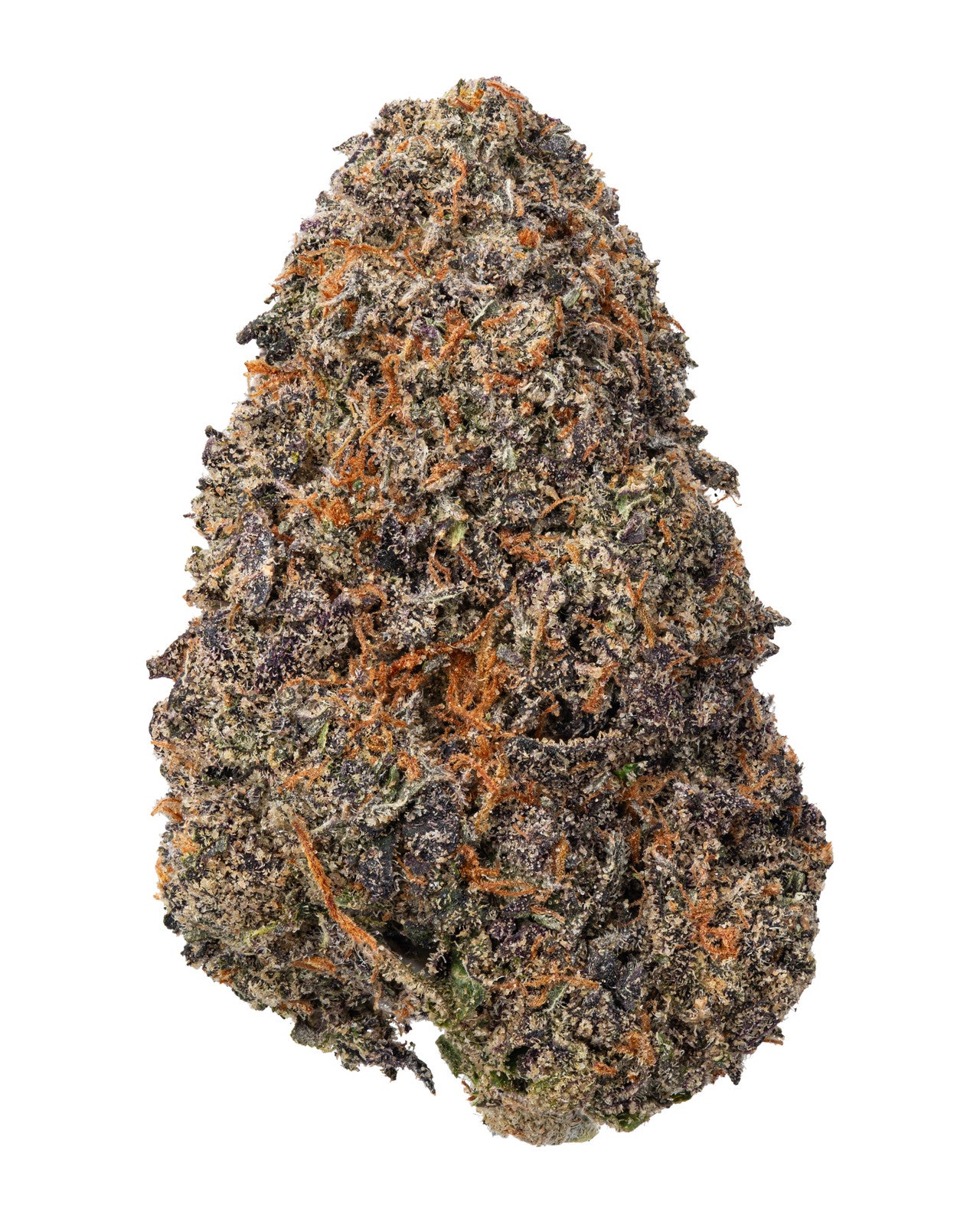 THCA Dogwalkers