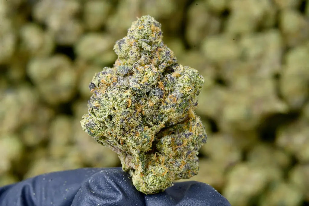 THCA Flower