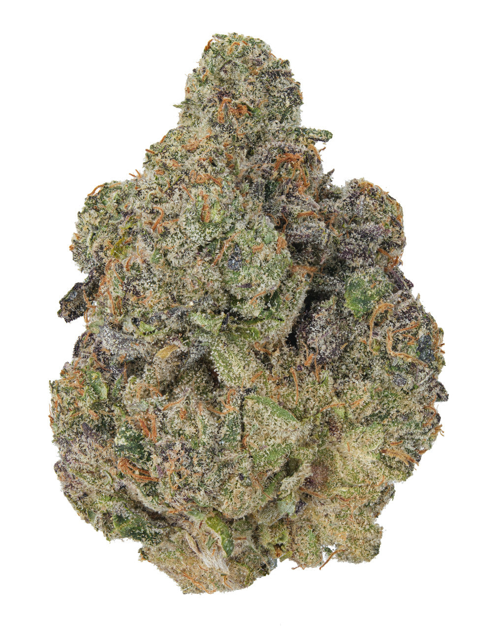 THCA Dogwalkers