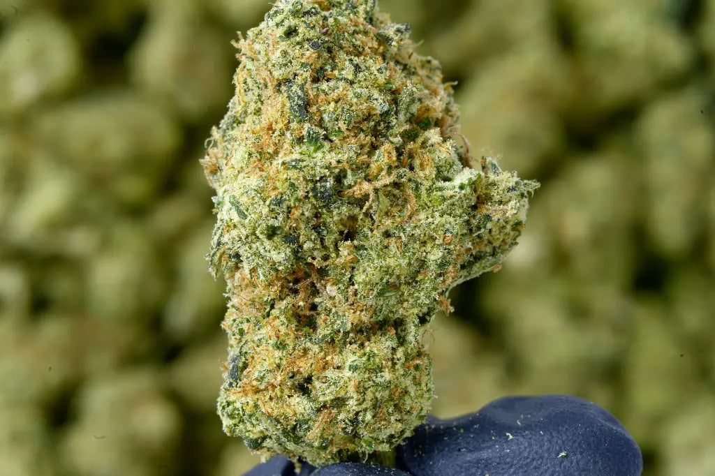 THCA Flower