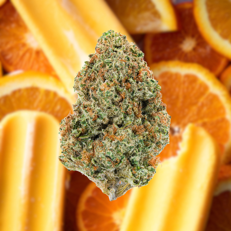 THCA Flower - SH SUPPLY LLC