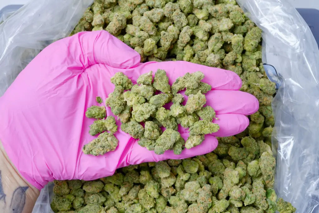 THCA Smalls