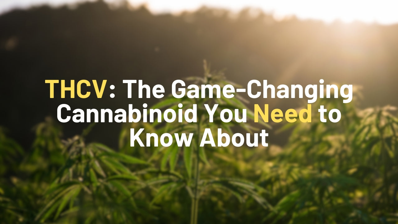 THCV: The Game-Changing Cannabinoid You Need to Know About