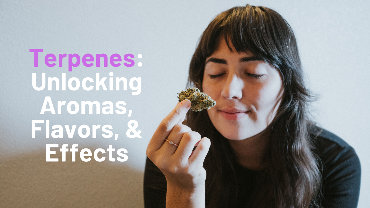 The Terpenes of Cannabis: Unlocking the Aromas, Flavors, and Effects