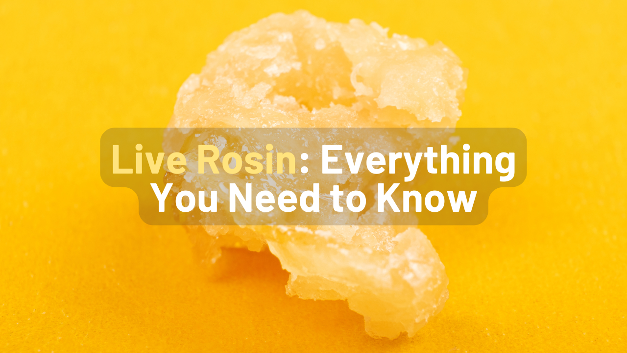 What is Live Rosin? Everything You Need to Know