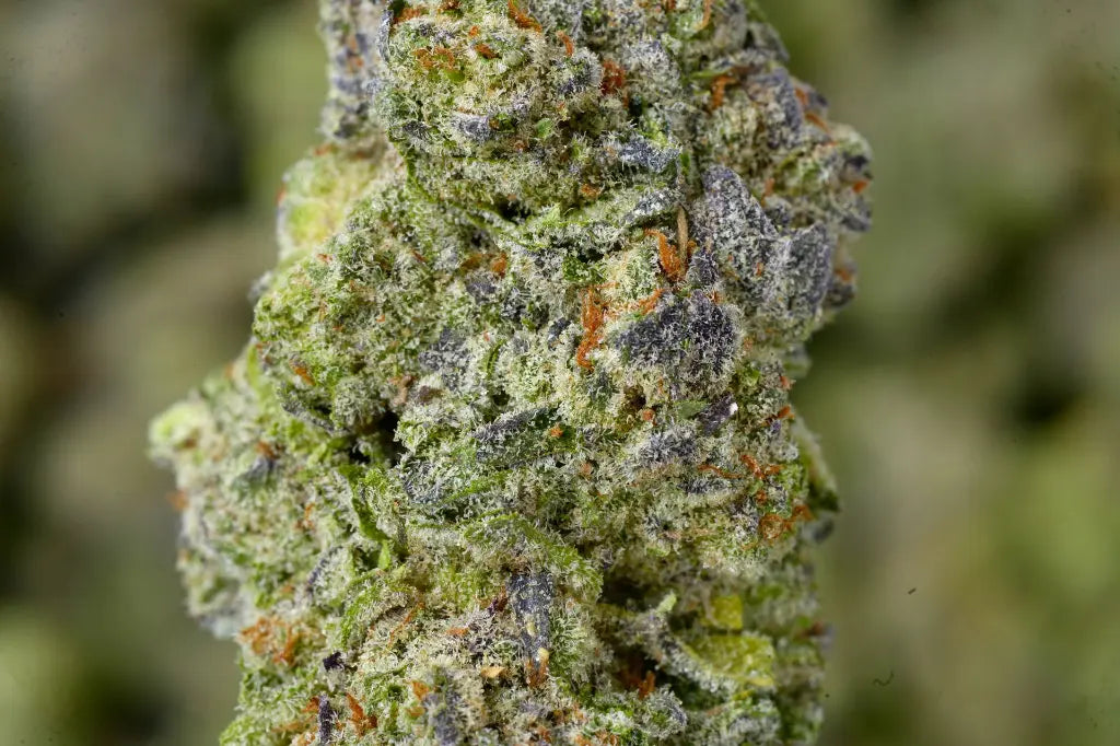 THCA Flower