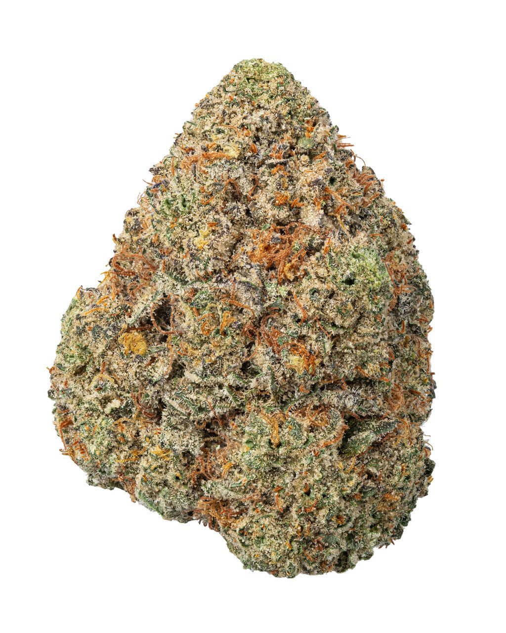 THCA Dogwalkers