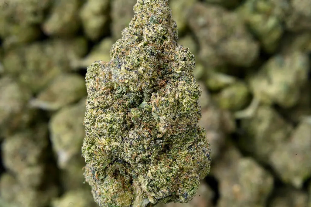 THCA Flower