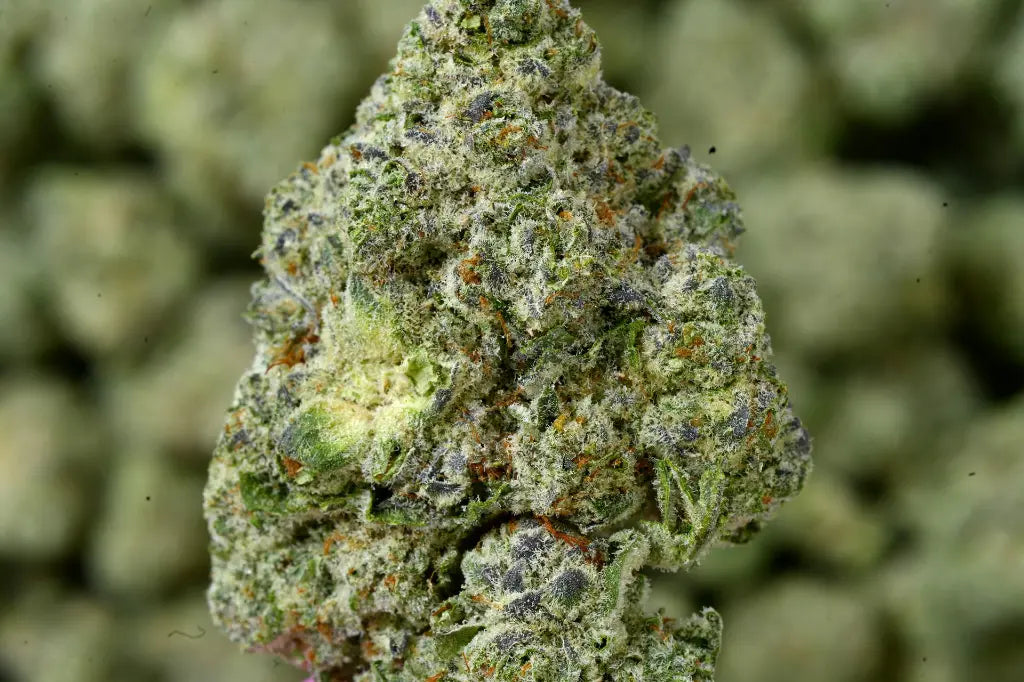 THCA Flower