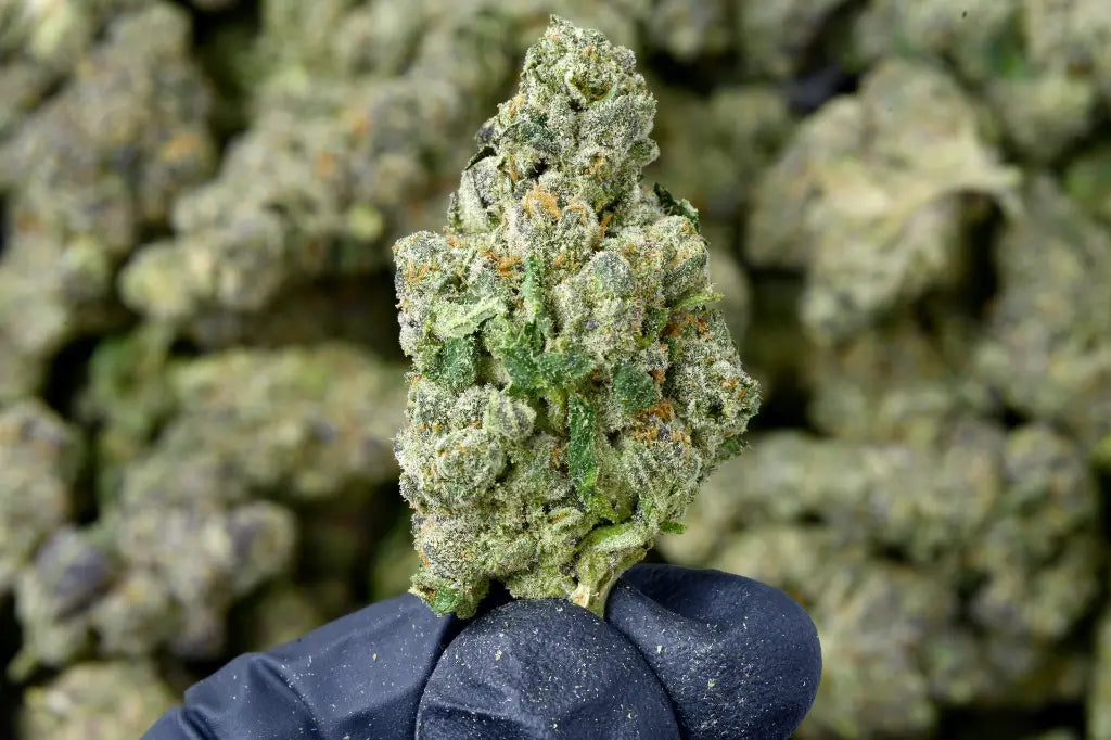 THCA Flower