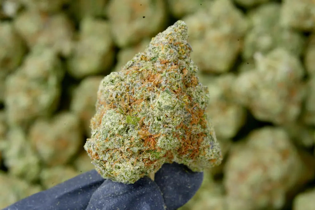 THCA Flower