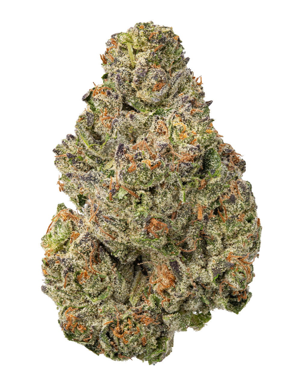 THCA Dogwalkers