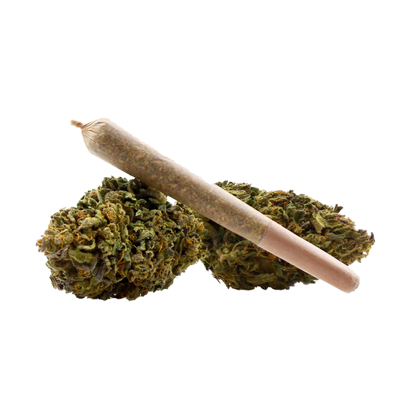 THCA Pre Roll - Steve's Hemp | Wisconsin Hemp Products